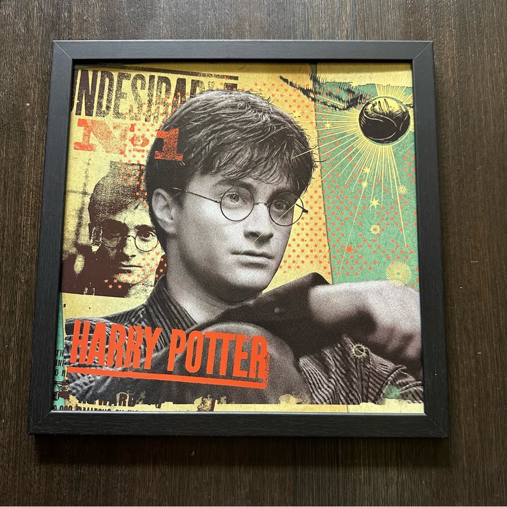 Harry‎ Potter Undesirable No 1 Framed Poster
